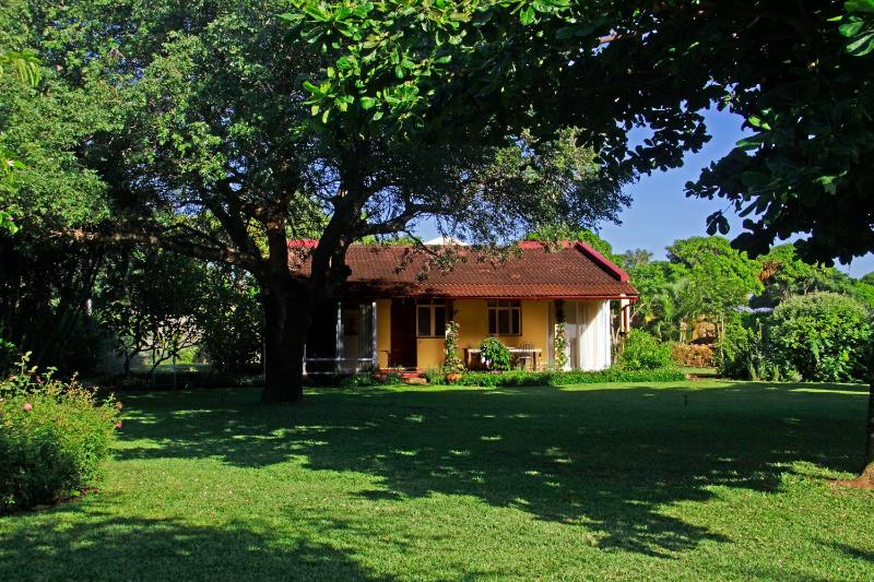 Ancha's Oasis - image 8