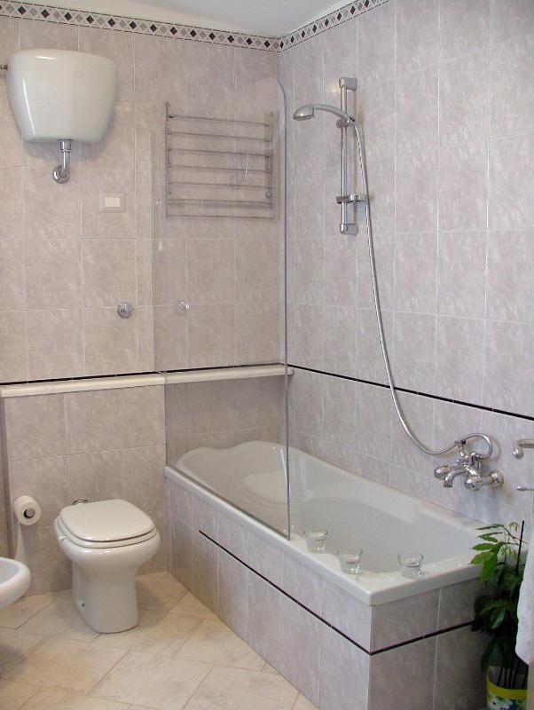 Large Single Room image 4
