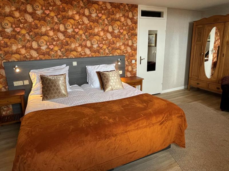 Deluxe Double or Twin Room image 4