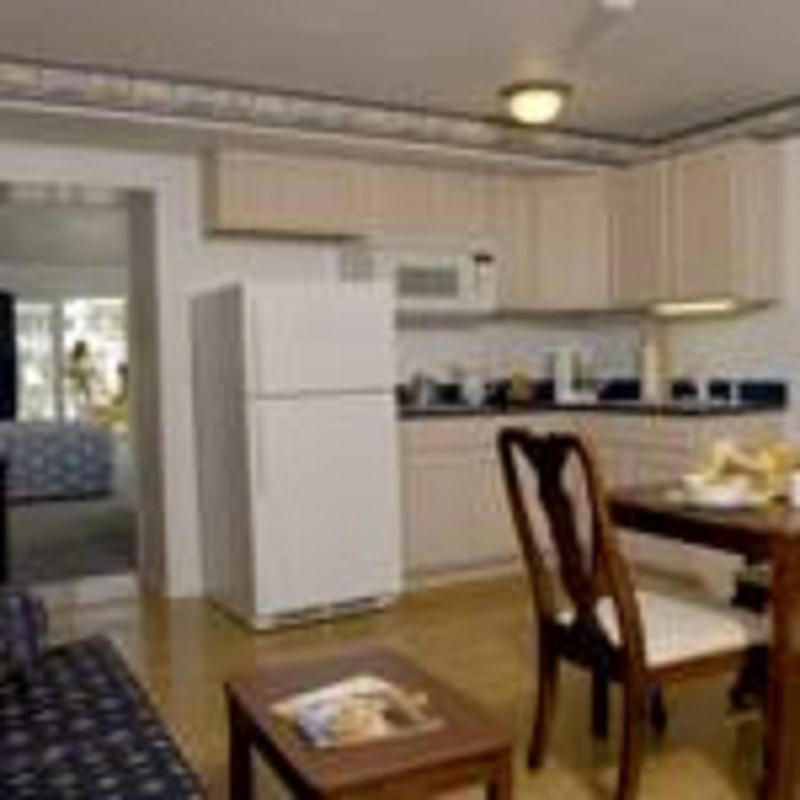 One-Bedroom Apartment image 2