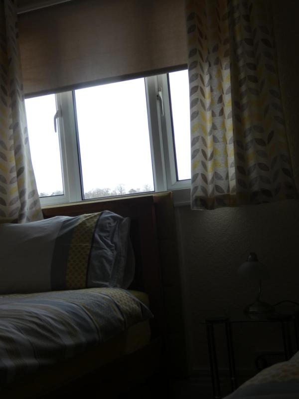 Twin Room image 2