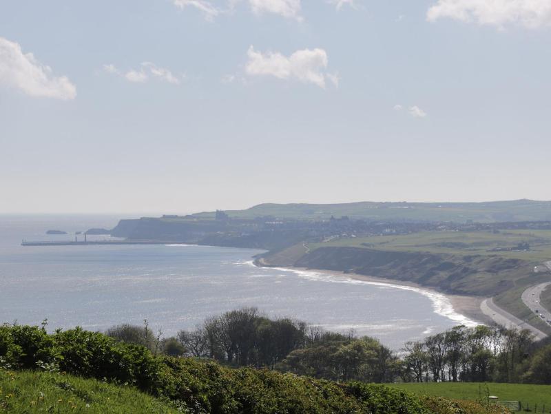 Wren - image 19