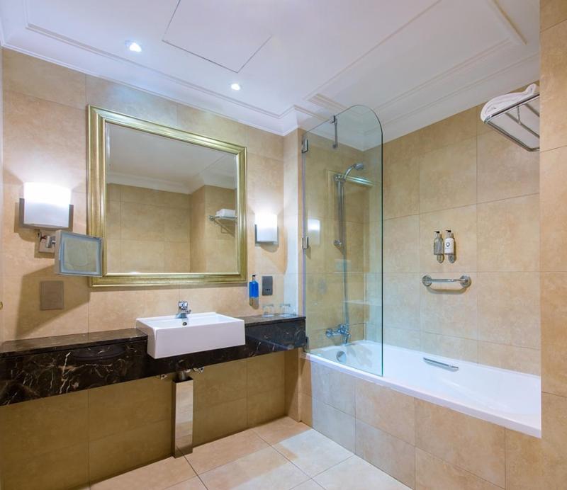 Superior One Bedroom Suite image 2