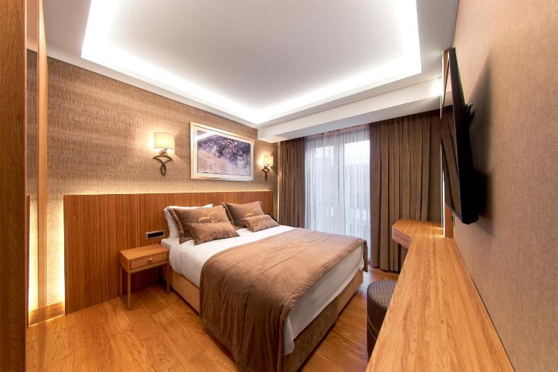 Standard Single Room image 3