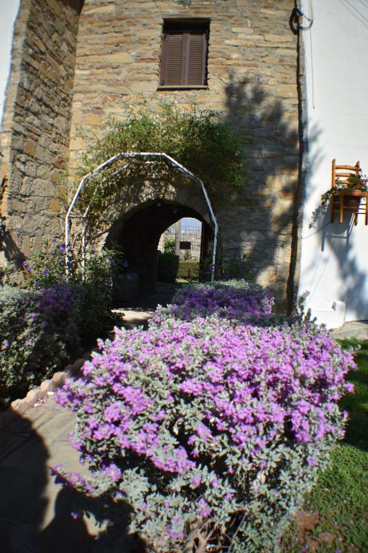Traditional One-Bedroom House image 2