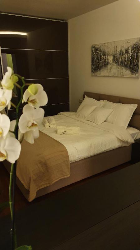Superior Apartment image 1