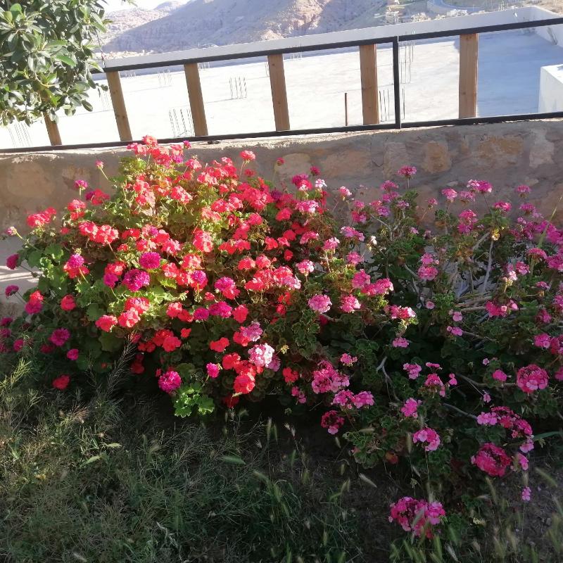 Infinity Lodge - image 12