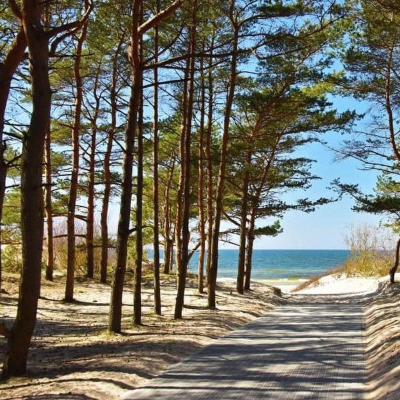 Čiki Puki Pajūrys - image 6