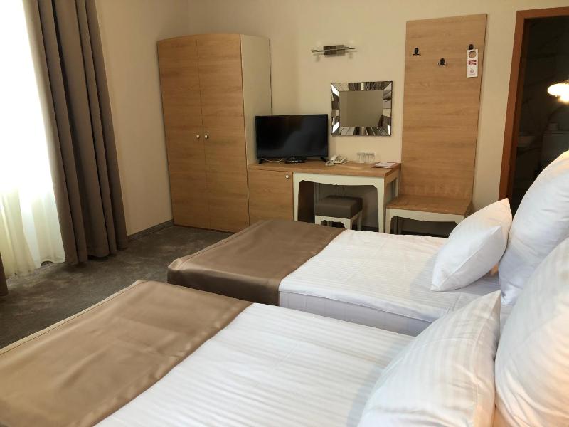 Deluxe Double or Twin Room image 3