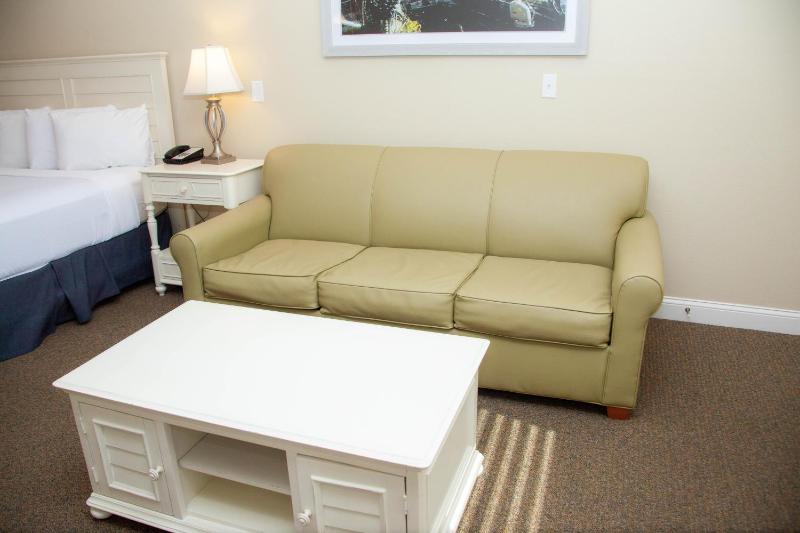 Deluxe Studio image 2