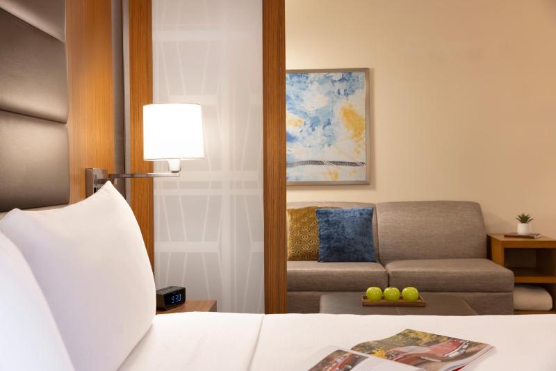 Hyatt Place Houston Downtown - image 31