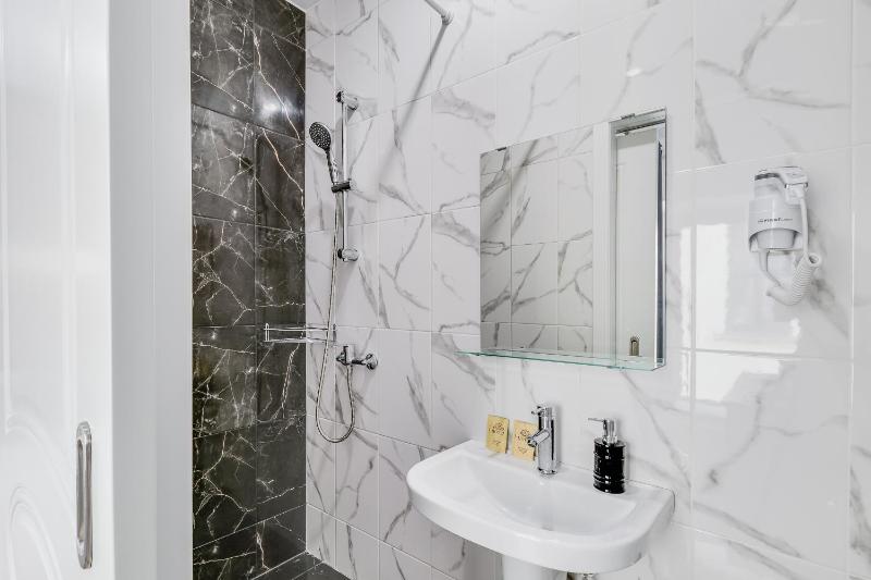 One-Bedroom Apartment image 2