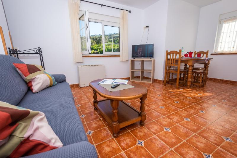 Large One-Bedroom Apartment image 4