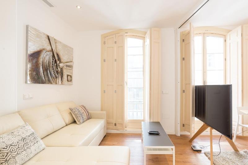 Urbe10 Plaza de la Constitucion 1 Bedroom Apartment - image 17