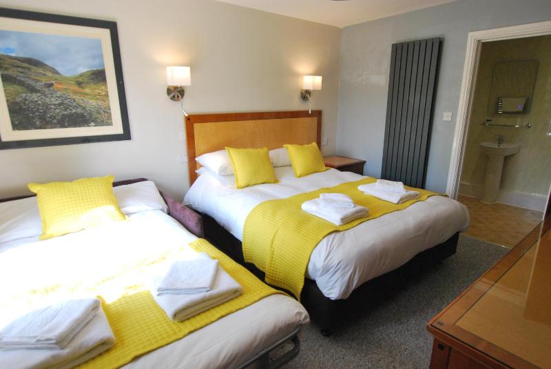 Double or Twin Room image 4