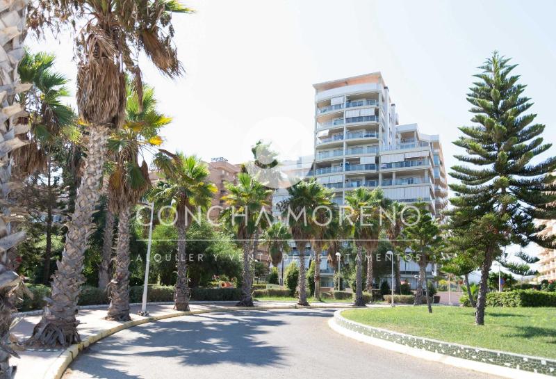 Vila Dorpesa X-CM - image 7
