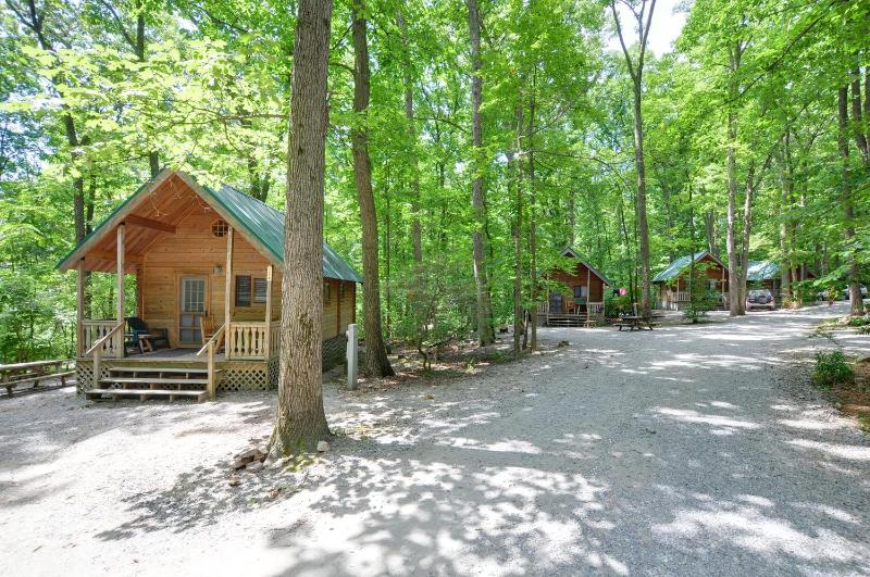 One-Bedroom Cabin image 2