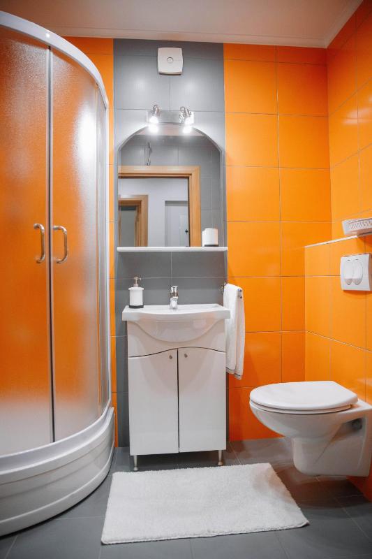 One-Bedroom Apartment image 3