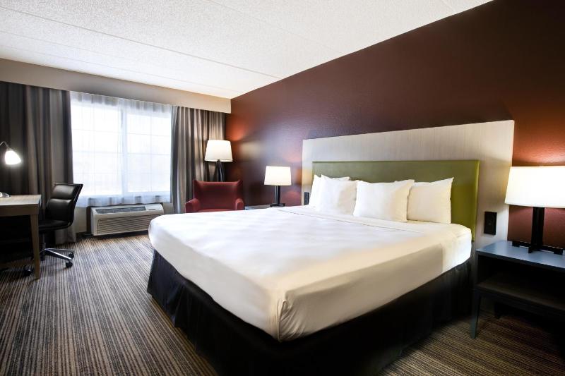 Standard King Room - Non Smoking image 1