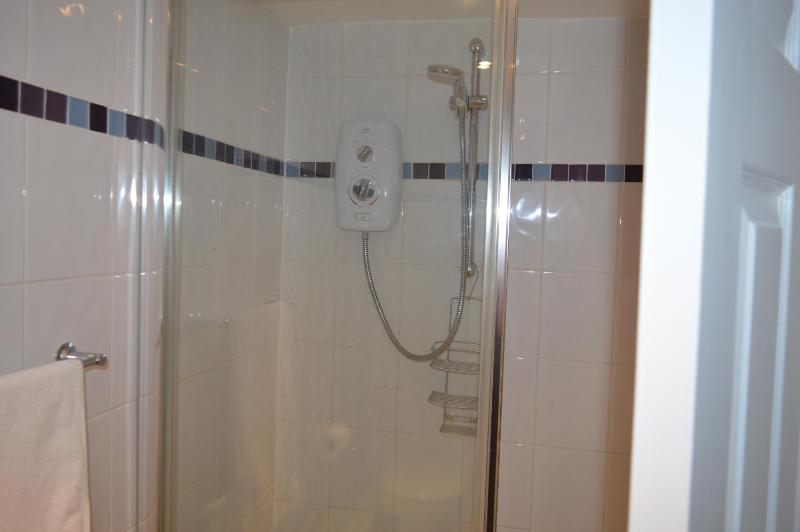 Single Room image 4