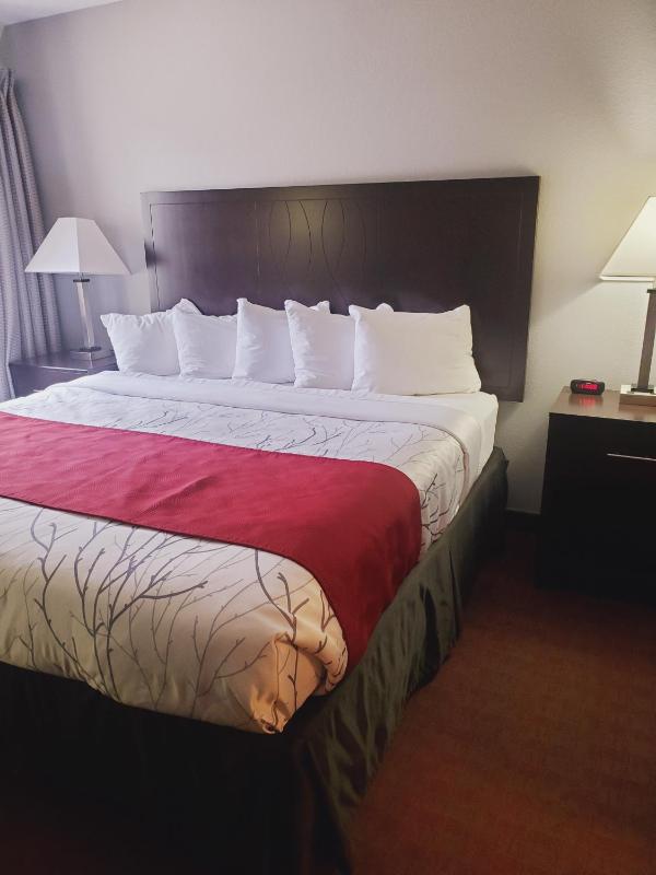 King Room image 2