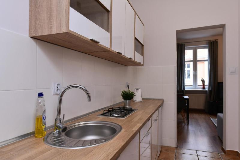 One-Bedroom Apartment (4 Adults) image 3