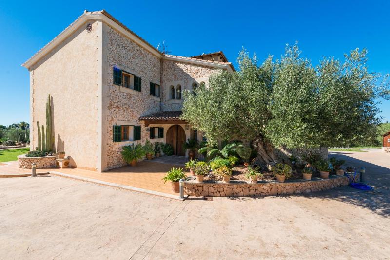 E096 Can Valero by Mallorca Villa Selection - image 15