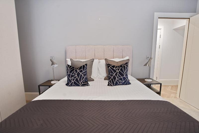 One-Bedroom Apartment image 2