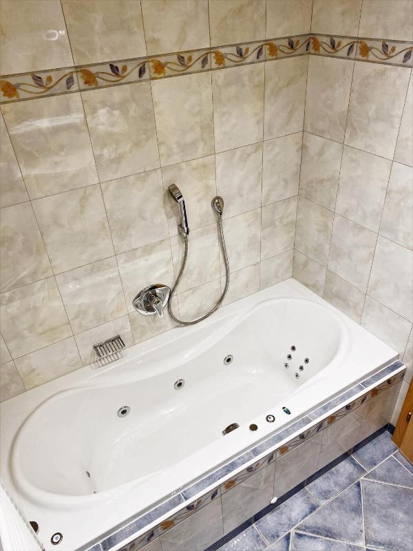 One-Bedroom Apartment image 4