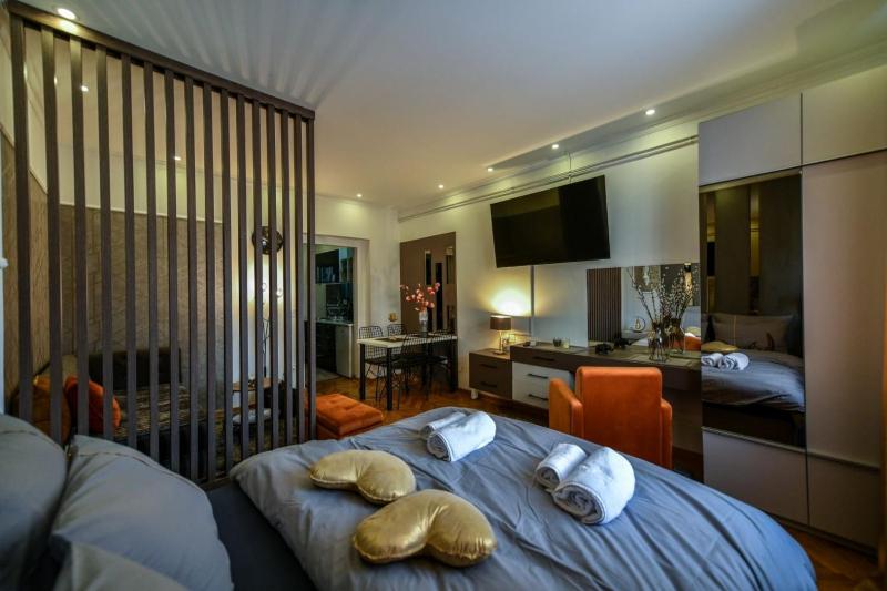 One-Bedroom Apartment image 2