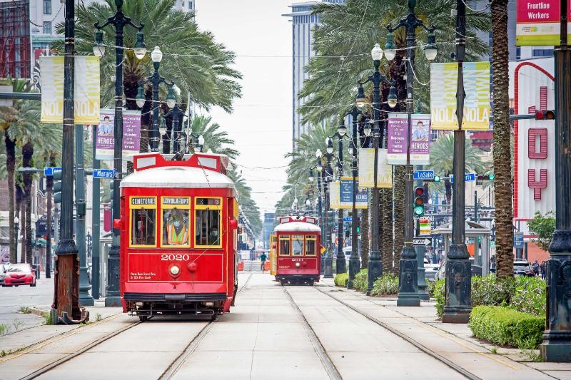 Walk to Canal St Trolley! Mid-City NOLA Retreat - image 16