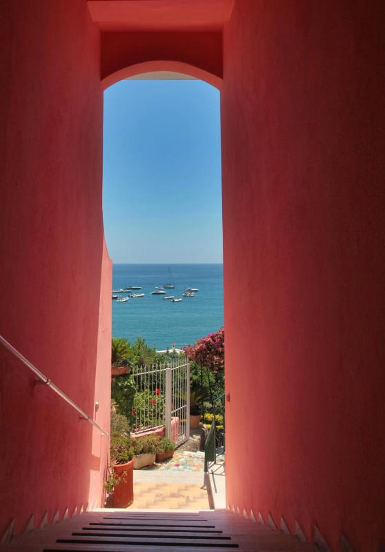 Hotel Casa Rosa Sea & Spa - image 18