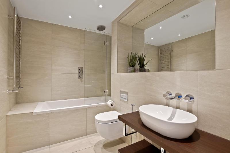 One-Bedroom Apartment image 4