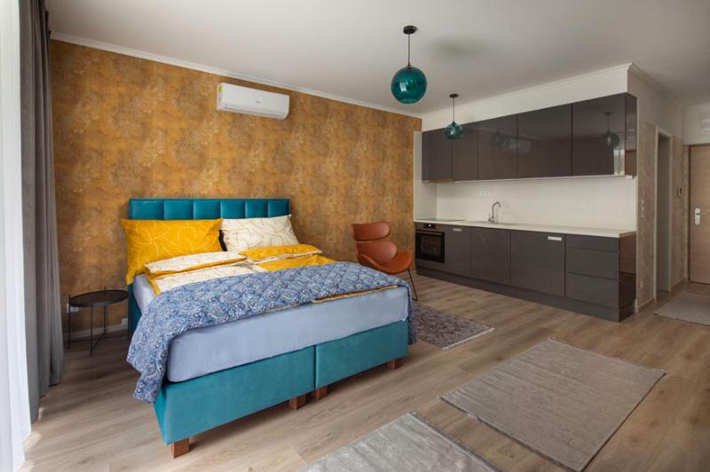 Deluxe King Studio image 4