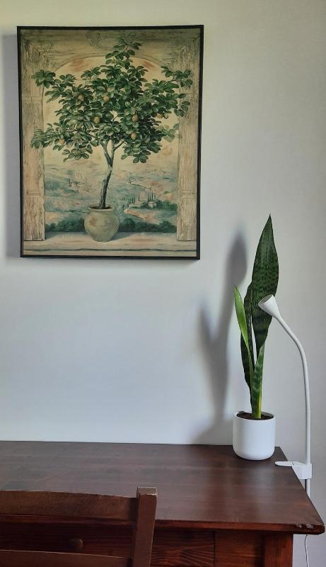 Casale Ginisara - image 14
