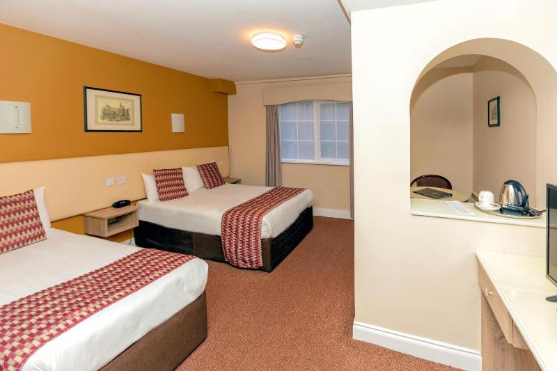 Standard Twin Room image 1
