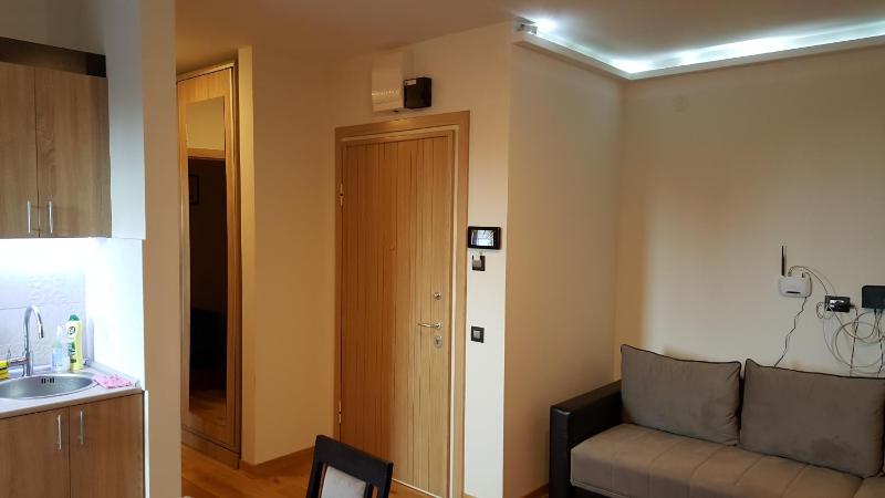 One-Bedroom Apartment image 4
