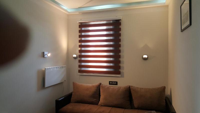 One-Bedroom Apartment image 3