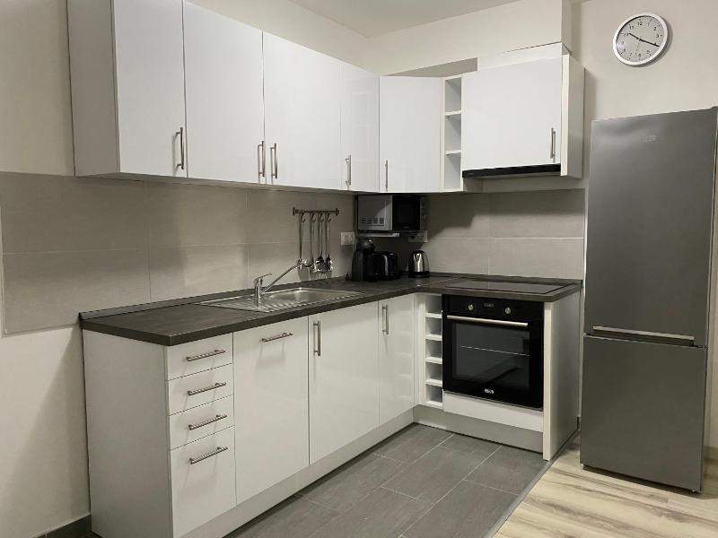 One-Bedroom Apartment image 4