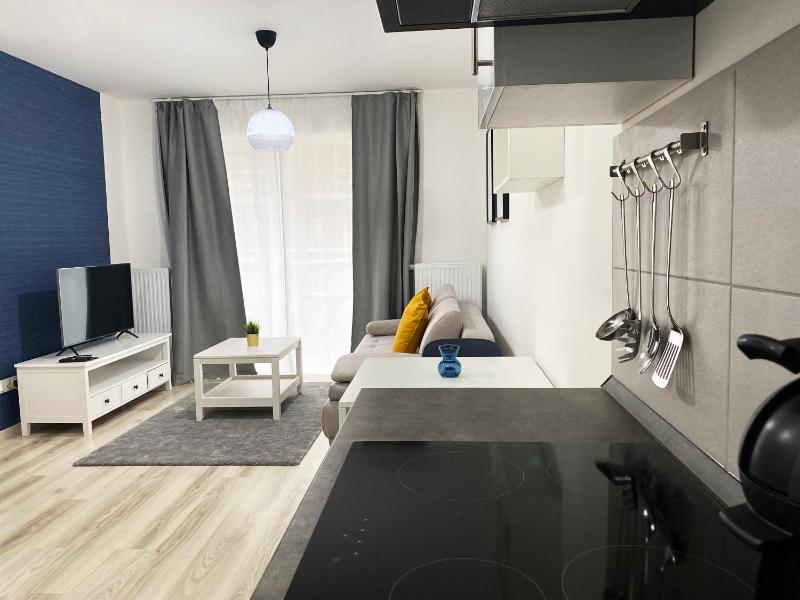 One-Bedroom Apartment image 2