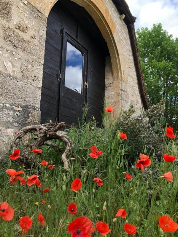 Superior Double Room image 4