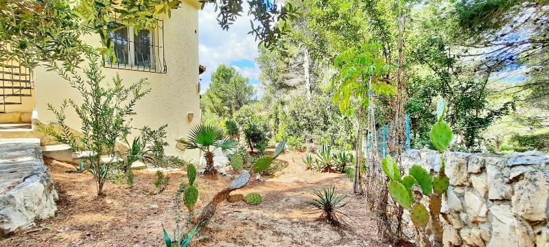 Villa La Belita - image 17