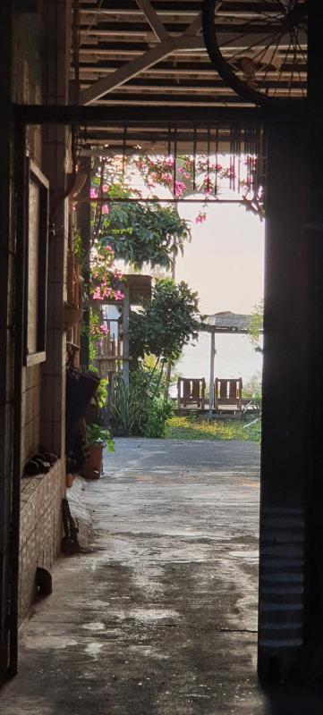 小阿姨野花 - image 29