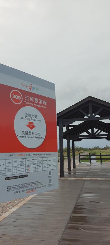 小阿姨野花 - image 47