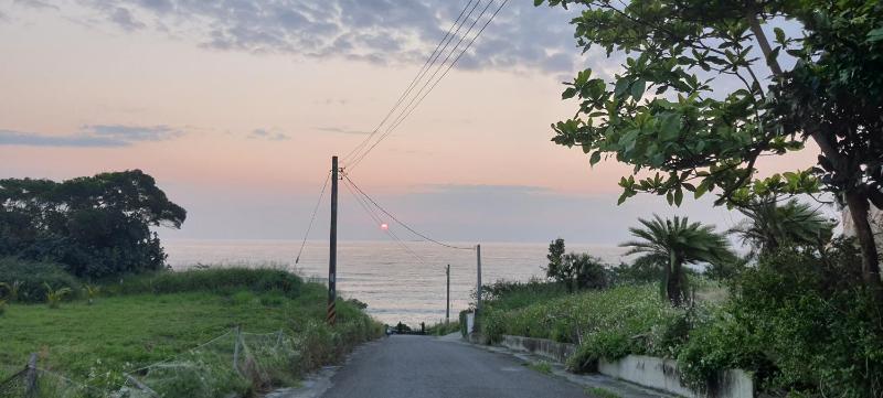 小阿姨野花 - image 10