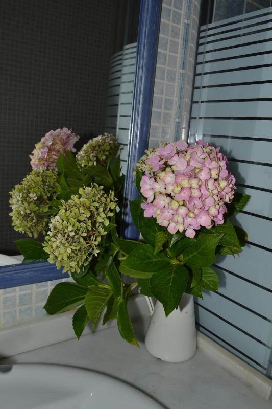 Classic Single Room with Balcony image 4