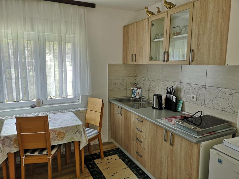 One-Bedroom Apartment image 2