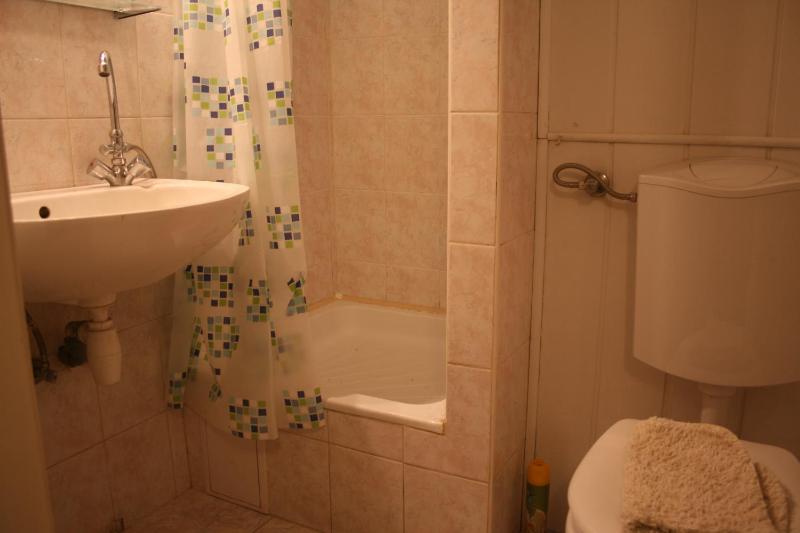 One-Bedroom Apartment image 3