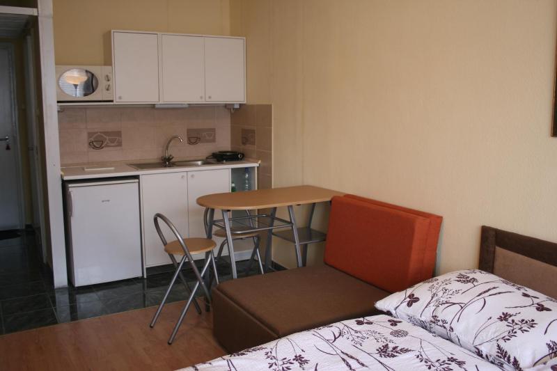 One-Bedroom Apartment image 2