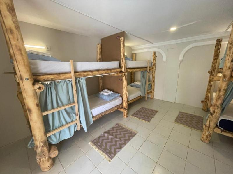 Bunk Bed in Mixed Dormitory Room image 3